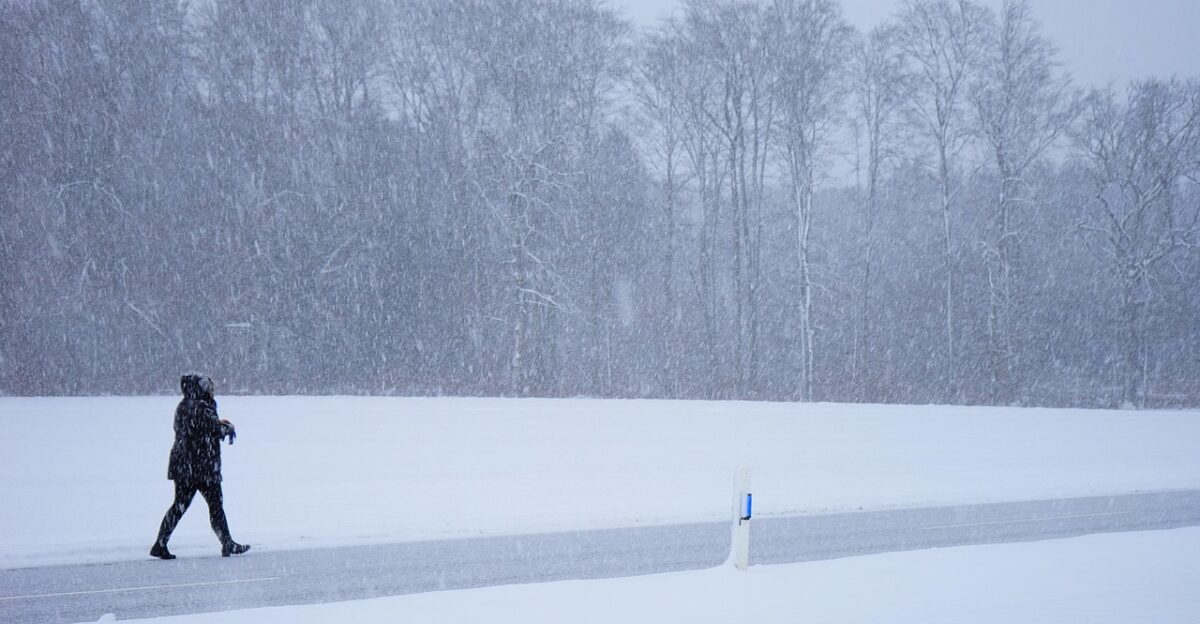blizzard person escape way home winter storm snowflakes cold icy nature snow snowfall frost flake crystals winter landscape