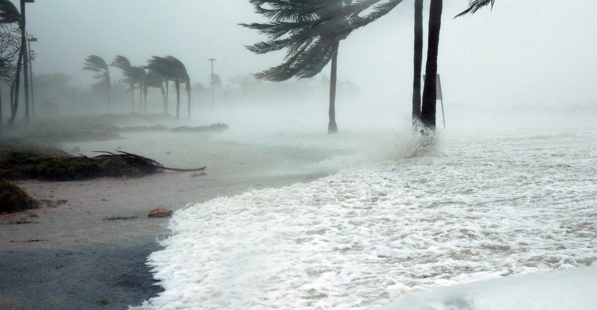 key west florida hurricane dennis storm surge water nature raining wind blowing dangerous sea ocean palm trees beach weather