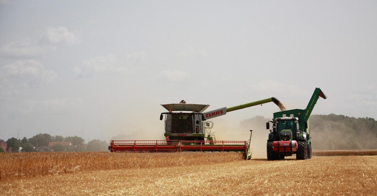 harvest agriculture summer grain tractor farmer nature fields combine harvester farm harvest harvest harvest agriculture agriculture agriculture tractor tractor tractor tractor tractor