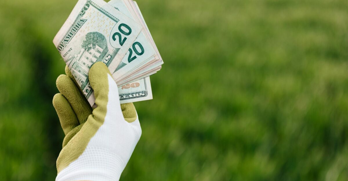 Crop anonymous gardener in gloves showing American paper money with number twenty and photo of building on blurred background with green field in daylight