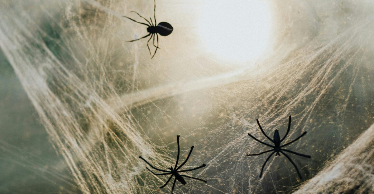 Close-up of spider webs and fake spiders on a window, perfect Halloween decoration.