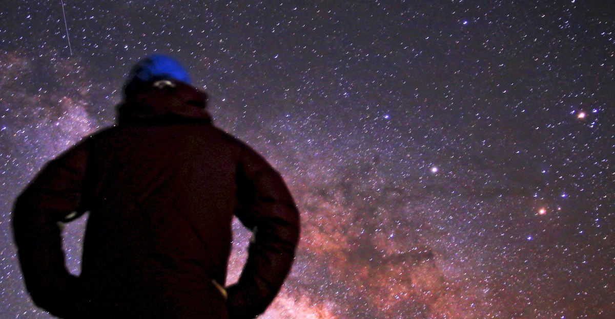 person looking to the brown galaxy