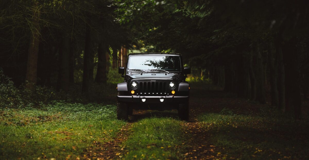 black Jeep Wrangler SUV on green under trees