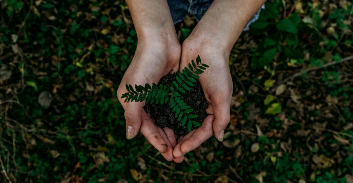 green plant