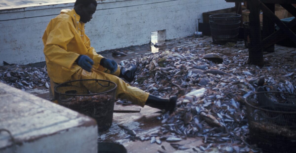 man sitting on stool infront of bunch of fish