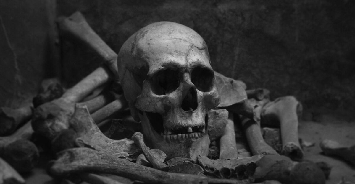 grayscale photo of skull on wooden surface