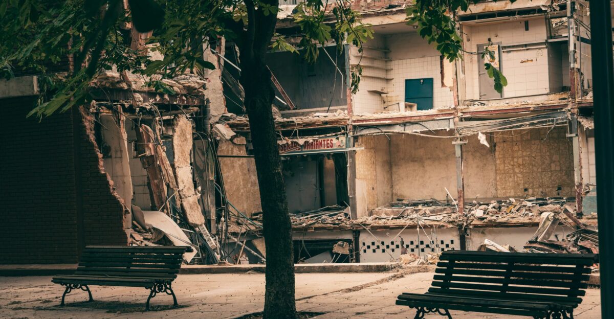 brown wooden bench near tree
