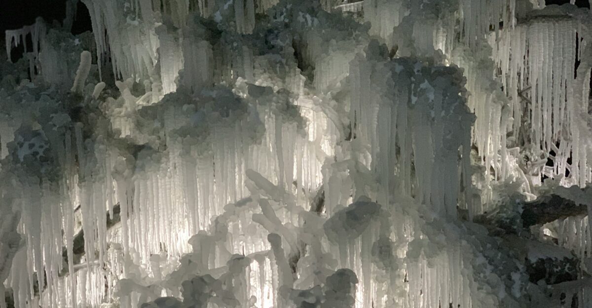a bunch of icicles hanging from the side of a tree