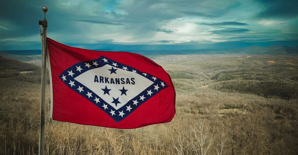 a flag in a field with a sky in the background