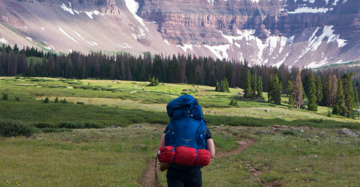 a person walking up a trail in the mountains
