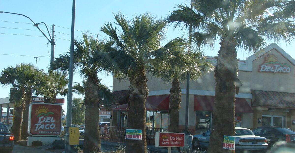 Washingtonia sp habit and Del Taco Location Nevada Tropicana Ave Las Vegas
