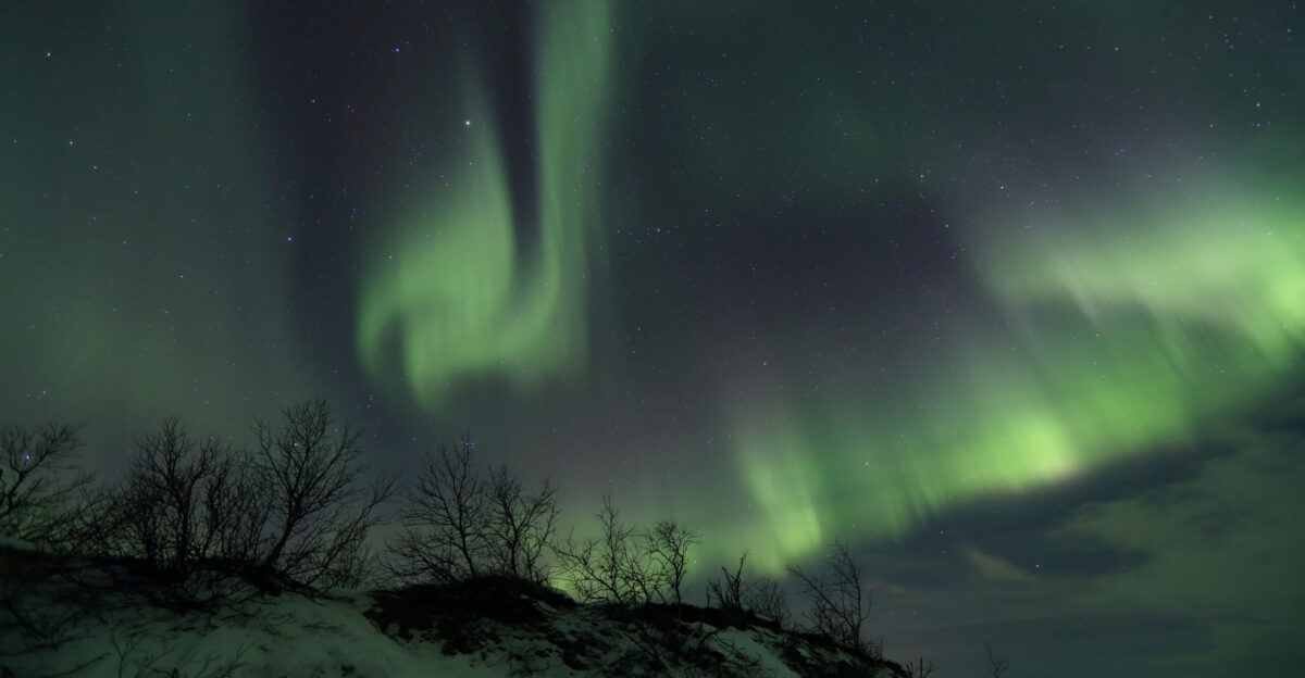 Aurora borealis in Abisko National Park near Tornetr sk lake in Sweden