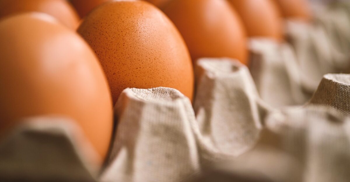 egg egg holder reproduction chicken egg food storage baking cooking egg egg egg egg egg