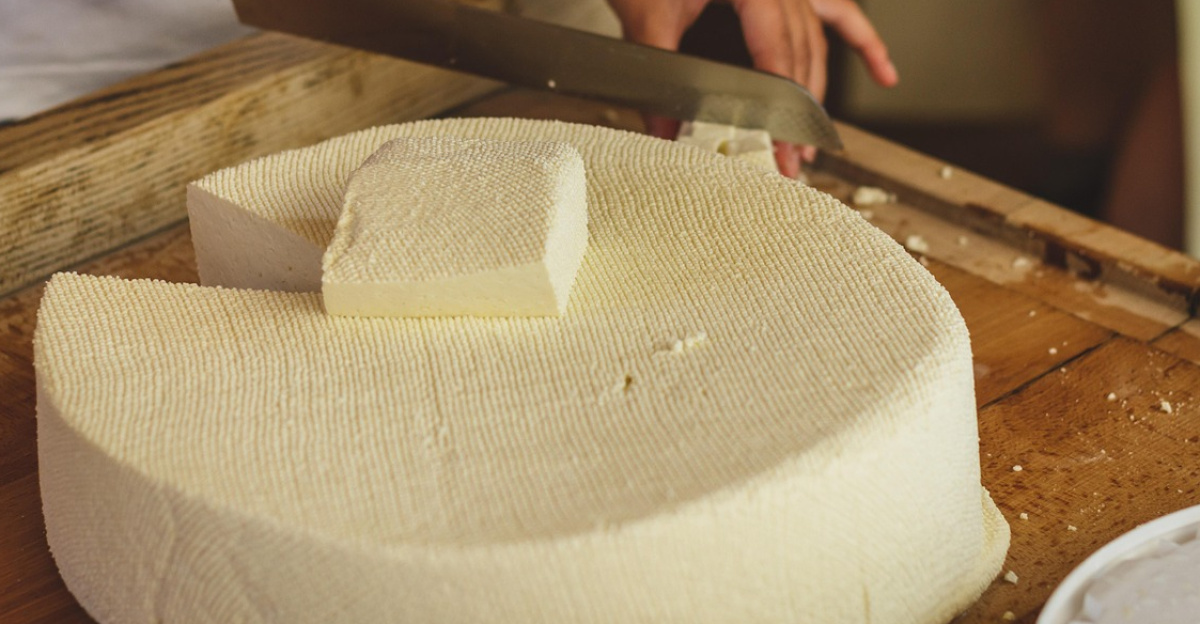 raw, cheese, cheese factory, food, dairy product, milk, white, alpine cheese, nature, cheese making, knife, to cut, try, schönegg, käsealm, agriculture, fresh, cheese, cheese, cheese factory, cheese making, cheese making, cheese making, cheese making, cheese making