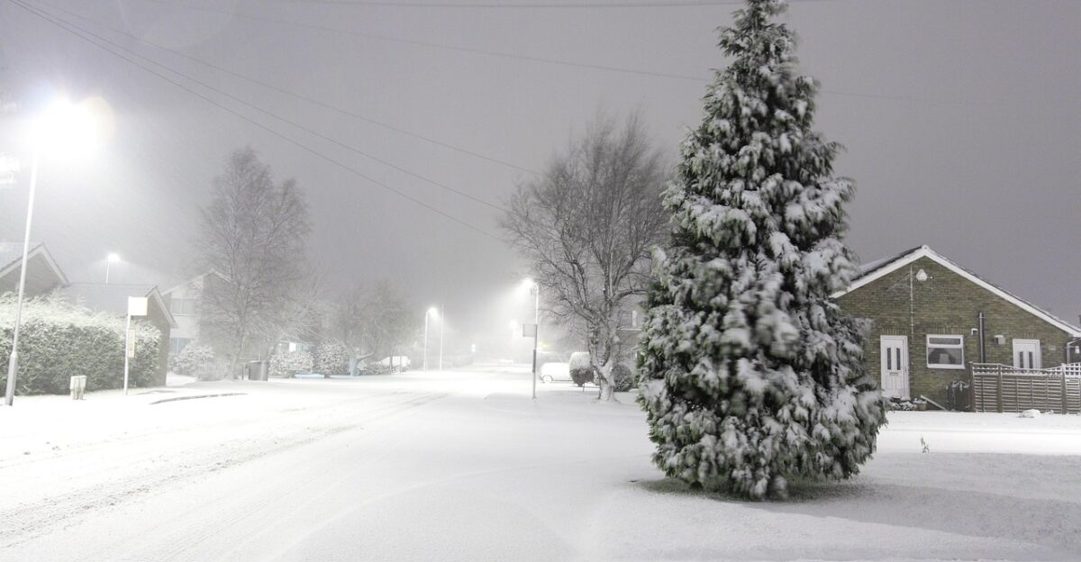 snow cold winter nature storm tree road lights snowflakes freezing frost wind night gray road gray night gray snow gray storm