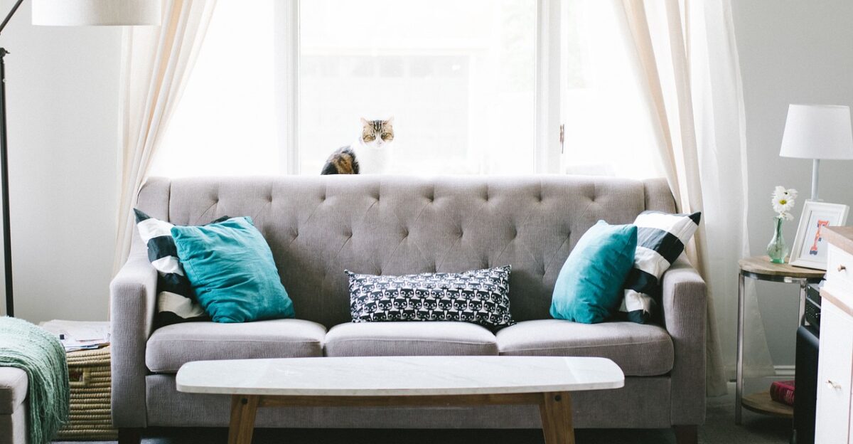 living room sofa couch interior design decoration pillow windows curtain table furniture cozy home house living room furniture interior decoration home furniture living room living room living room living room living room sofa sofa sofa couch interior design furniture furniture furniture home home home house house house house
