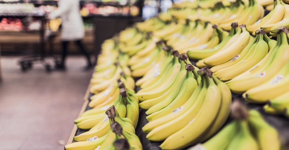 bananas fruits food grocery store supermarket shopping produce organic grocery shopping fruit stand yellow bananas bananas bananas bananas bananas grocery store grocery store grocery store supermarket supermarket supermarket supermarket supermarket shopping shopping shopping shopping