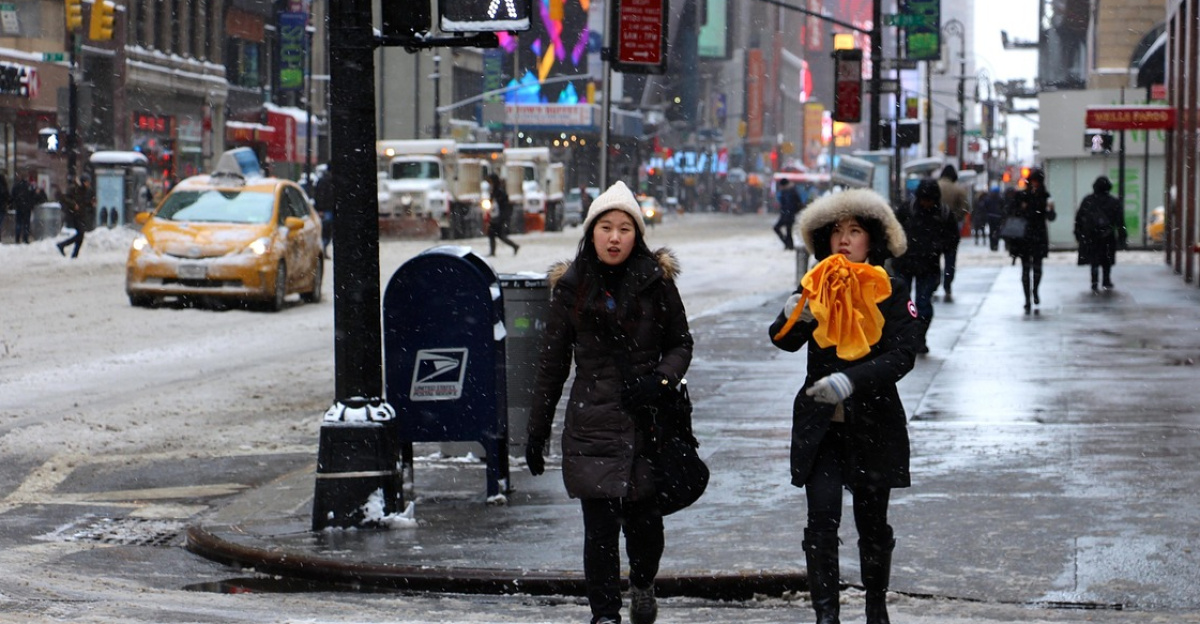 snow, storm, winter, manhattan, nature, city, gray storm