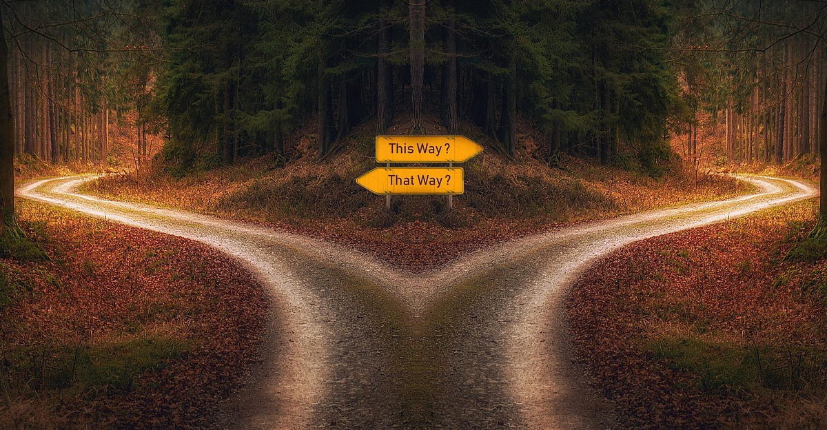 new year, decision, path, signpost, crossing, chance, choice, direction, selection, challenge, solution, alternative, future, strategy, decide, opportunity