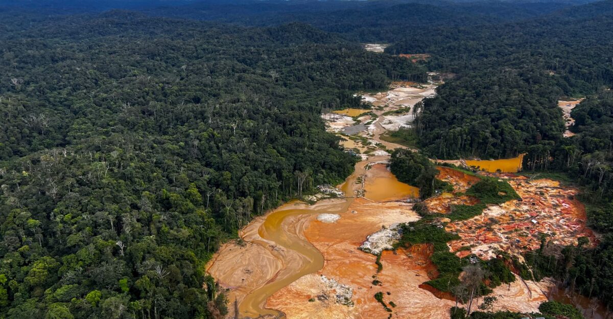 The Price of Gold The Impacts of Illegal Mining on Indigenous