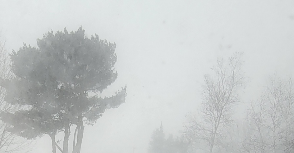 Near-whiteout conditions during the peak of the storm in Seekonk Massachusetts on January 29 2022