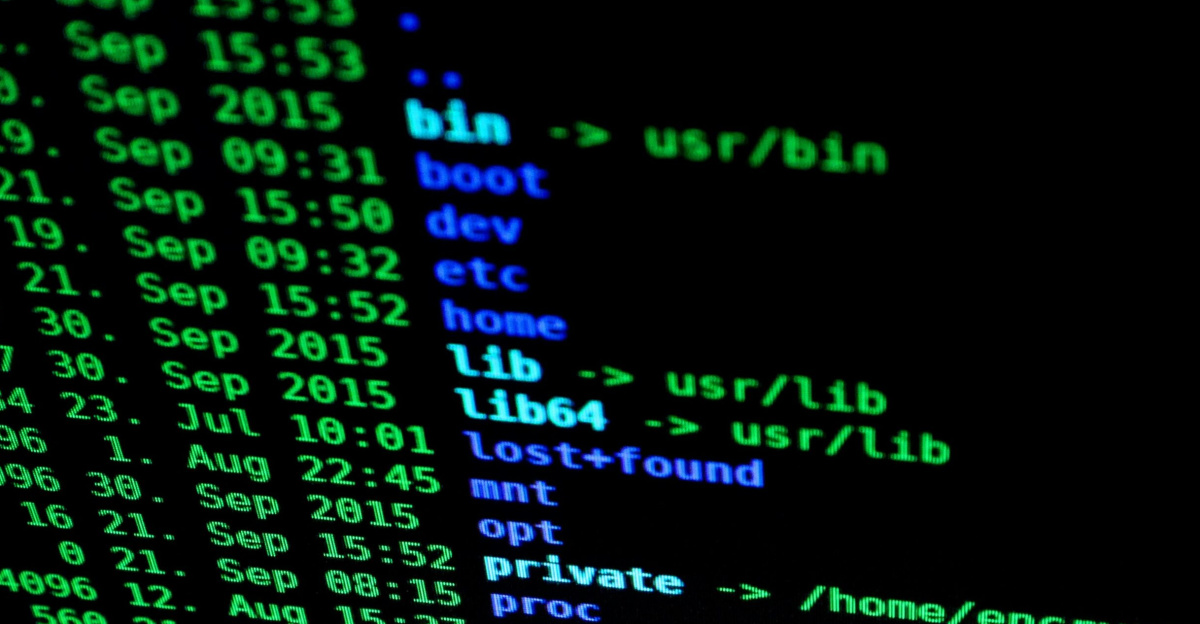 Close-up of colorful text on a computer screen, showcasing cybersecurity concepts.