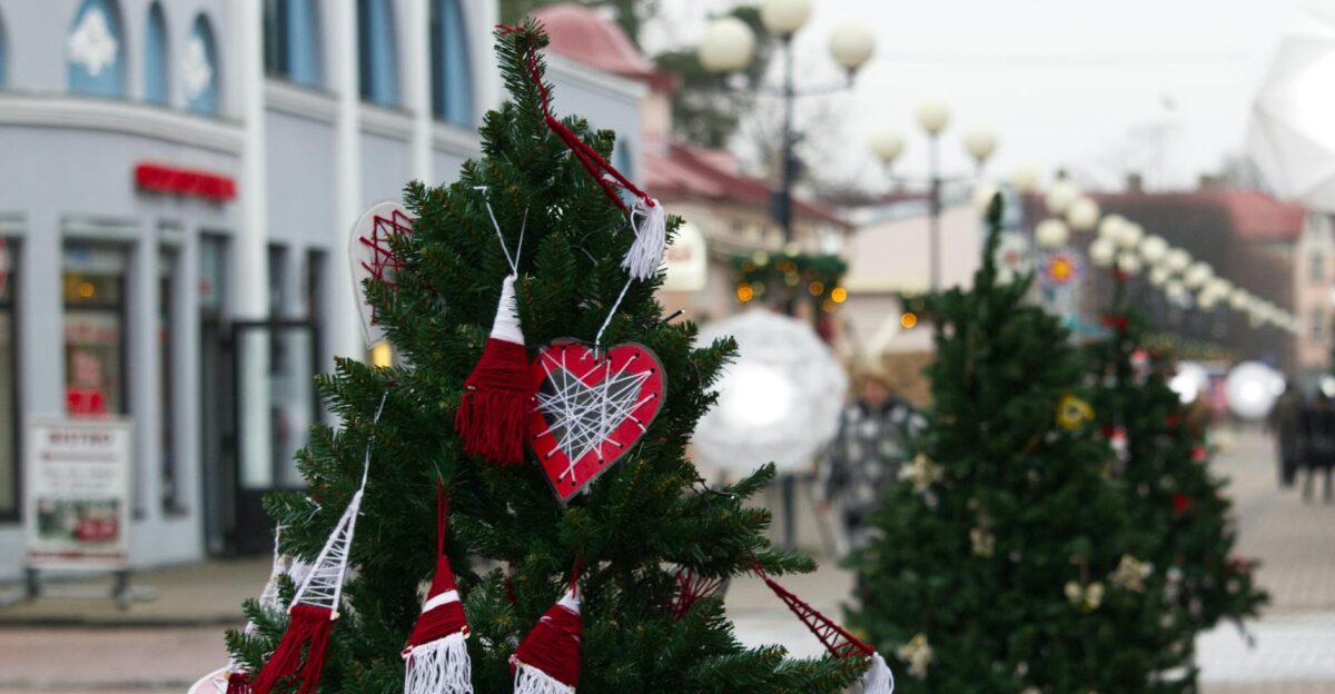 Free stock photo of a beautiful view arch window background