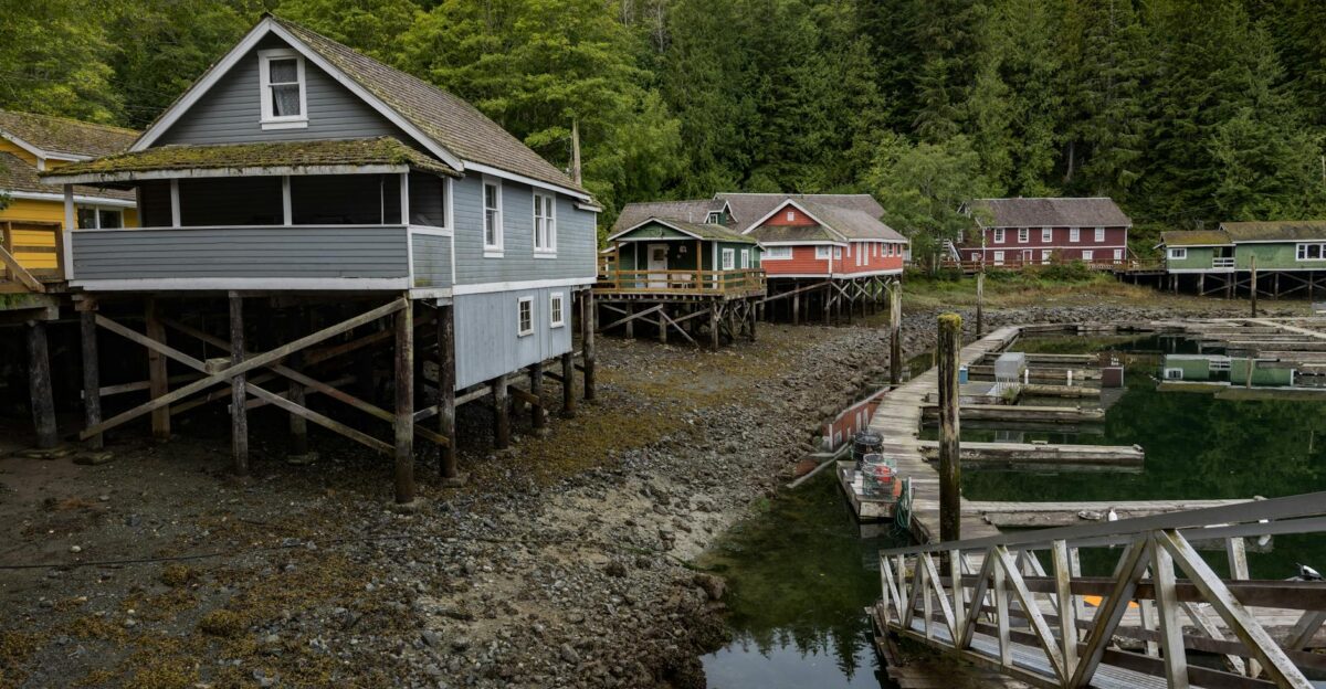 Historic boathouses on stilts in Telegraph Cove BC surrounded by lush forest