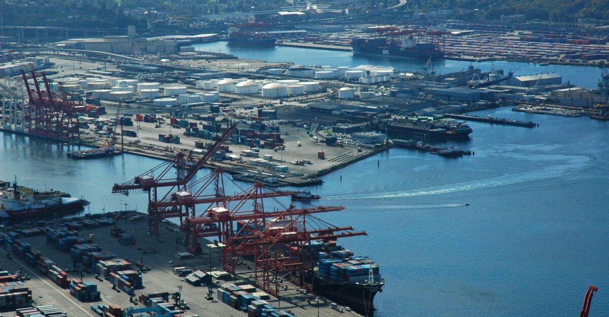 aerial photography of harbor