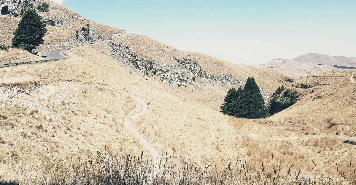 brown grass field near brown mountain under blue sky during daytime