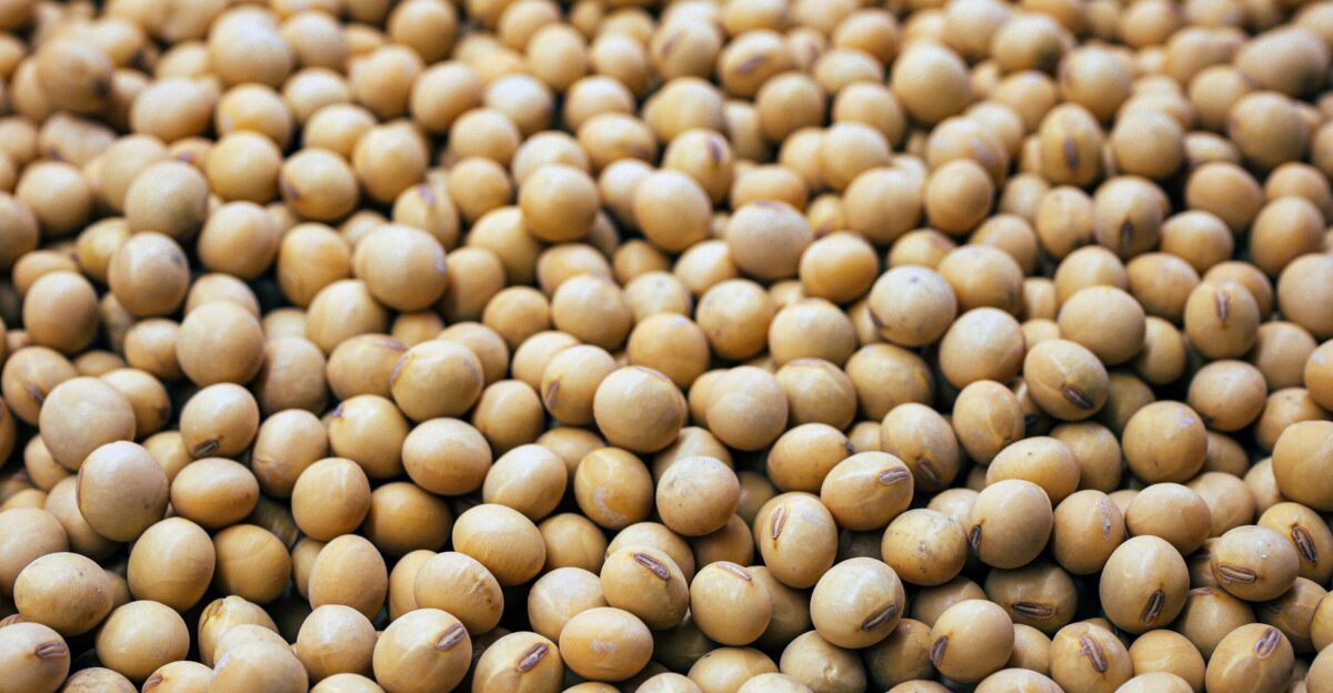 a bunch of small white balls of food