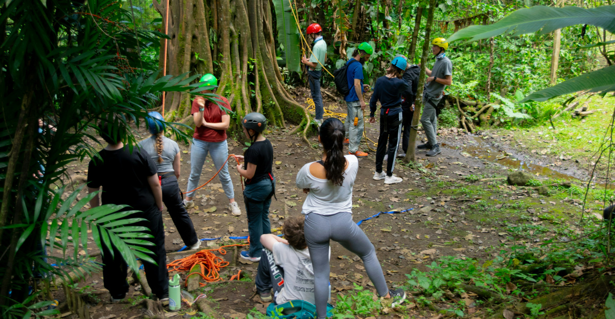 People gather in a lush rainforest setting.