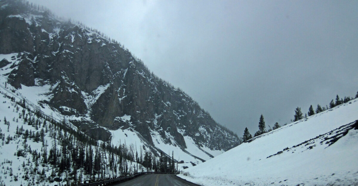 Locality East Entrance Road east of Sylvan Pass Absaroka Mountains Yellowstone northwestern Wyoming USA