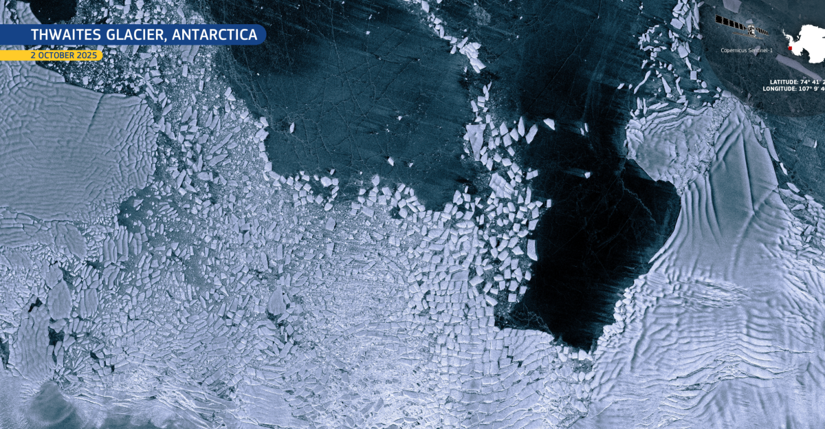 Spanning approximately 120 kilometres in width, Thwaites is one of the widest glaciers both in Antarctica and globally. The glacier flows into the Amundsen Sea and produces smaller calving events and occasional large tabular iceberg detachment from its ice tongue. Scientists are particularly concerned about Thwaites because it is melting at an accelerating rate due to warming ocean waters beneath it, which weakens the ice from below and leads to iceberg calving processes. Current research shows the glacier loses approximately 50 billion tons of ice annually and contributes about 4% to global sea level rise. If Thwaites were to collapse entirely, it could raise global sea levels by 65 centimetres, with potential for even greater rises if it destabilises surrounding West Antarctic ice. This Copernicus Sentinel-1 image, acquired on 2 October 2025, reveals the ice tongue of Thwaites Glacier, along with newly calved ice fragments drifting nearby. The expansion of Copernicus Sentinel-1 with Sentinel-1D will support the mission in continuing to deliver key data for tracking glacier dynamics and calving events in remote areas. Today, the European Commission’s Directorate-General for Defence Industry and Space announced that the Copernicus Sentinel-1D satellite will lift off onboard an Ariane 6 launcher from Europe’s Spaceport in Kourou, French Guiana on 4 November 2025.